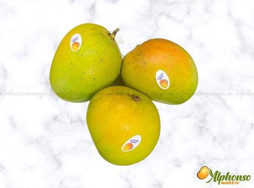 Premium Quality Salem Mango Online