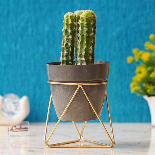 Black & Golden Metal Planter Flower Vase Pot with Stand for Home, Office Decor, Living Room, Balcony, Tabletop, Indoor Outdoor, Pack of 1