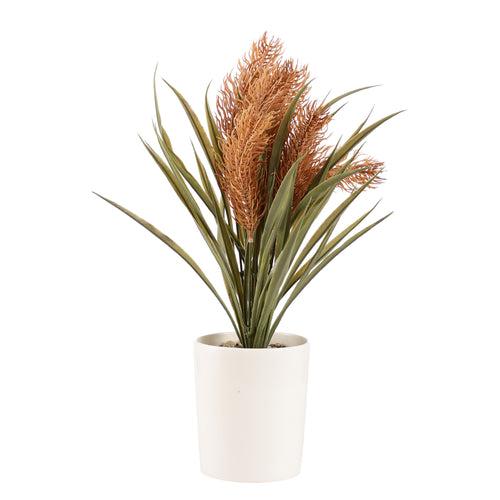 Sunkissed Yucca Pampas Bonsai Ceramic Potted Plant