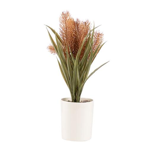 Sunkissed Yucca Pampas Bonsai Ceramic Potted Plant