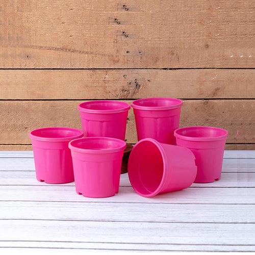 4 inch (10 cm) Grower Round Plastic Pot