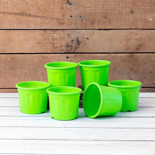 4 inch (10 cm) Grower Round Plastic Pot