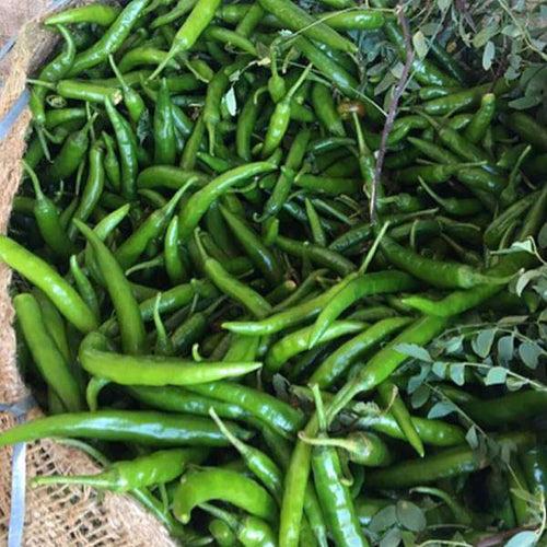 Set of 15 Vegetable Seeds to Sow in December, January in South India