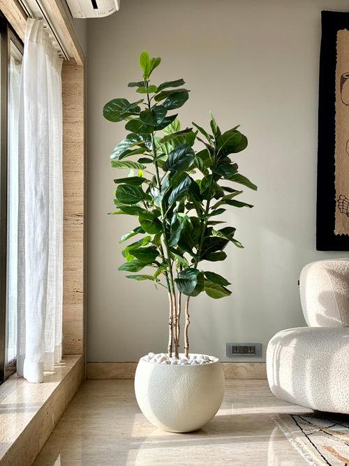 Artificial Fiddle Leaf Fig Tree - 6 Feet