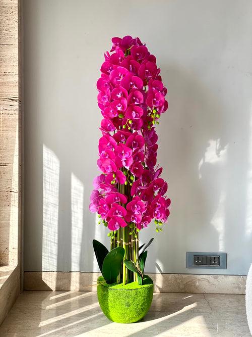 Artificial Cascade Orchid Plant - 5 Feet