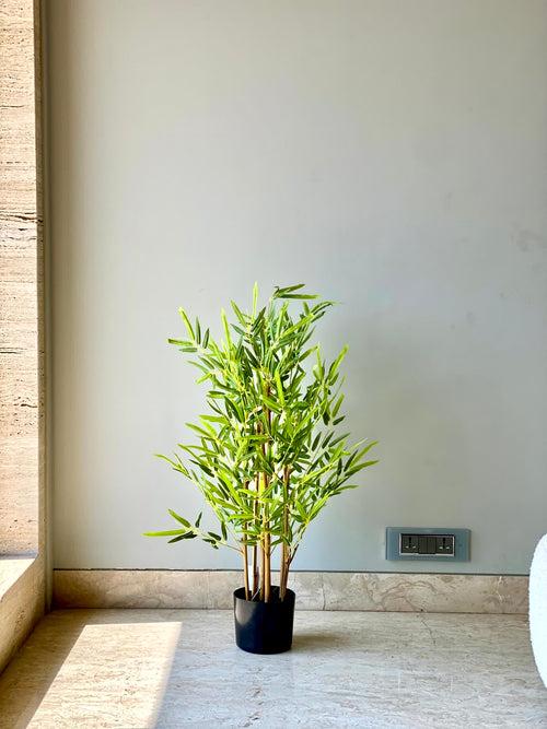 Artificial Japanese Bamboo Tree (3 Feet)