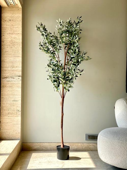 Artificial Olive Tree (6 Feet)