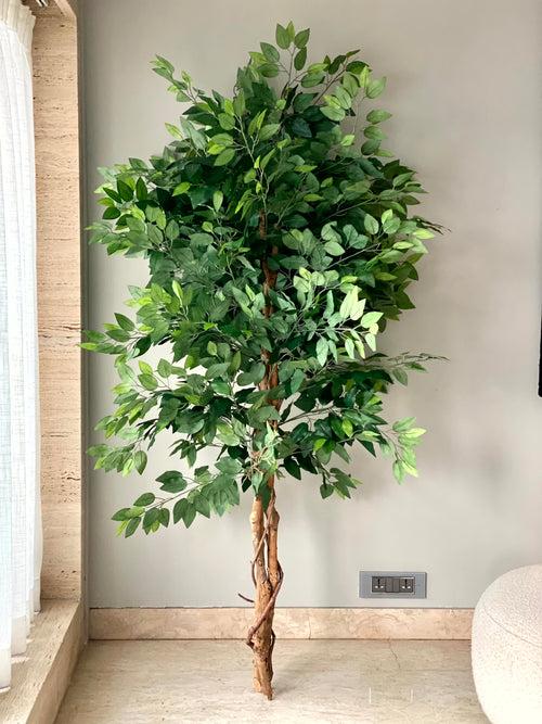 Artificial Ficus Opulence - 6ft