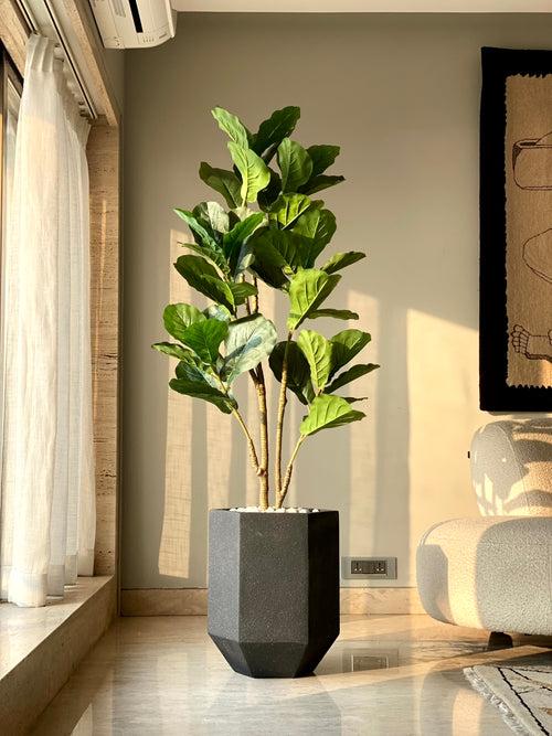 Busa Hexagonal Planter - Black