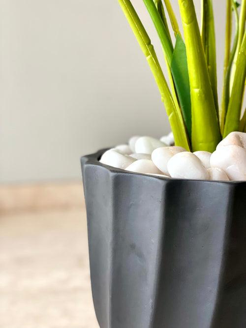 Venus Reversible Planter - Black (Only For Mumbai)