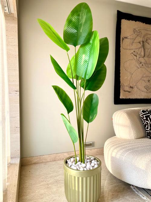 Artificial Calathea Palm Tree (6 Feet)