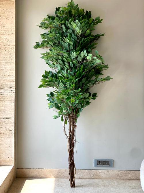 Artificial Natural Trunk Ficus Tree - 6.5 Feet