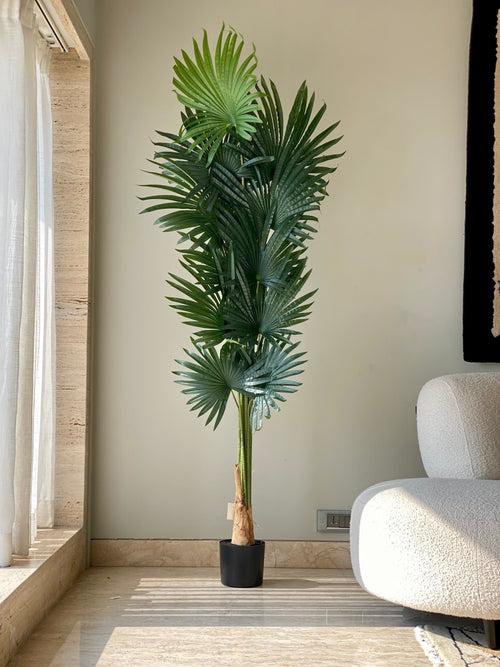 Artificial Fan Palm Tree (6.5 Feet)