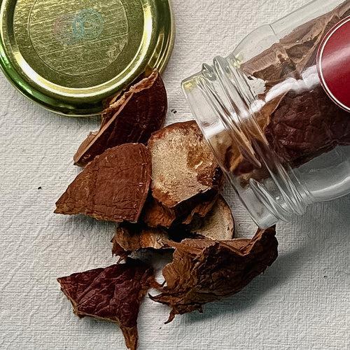 Dried Reishi Mushrooms by Octarine Organics