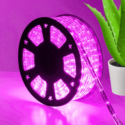 D'Mak Decorative LED Rope Light (40 Meter)