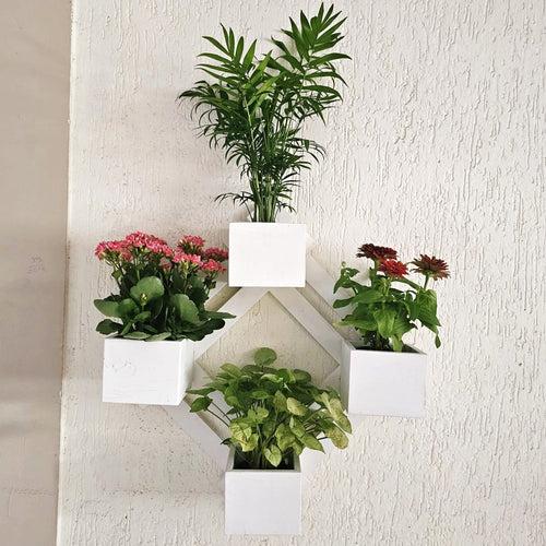 Wall Mounted Planter - Diamond