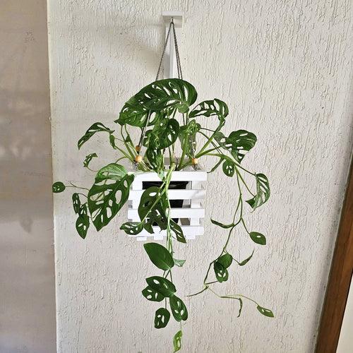 Wall Mounted Planter - Square Hanging