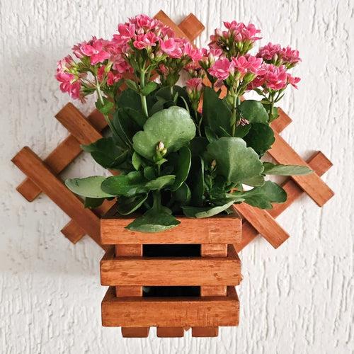 Wall Mounted Grid Planter - Diamond Single