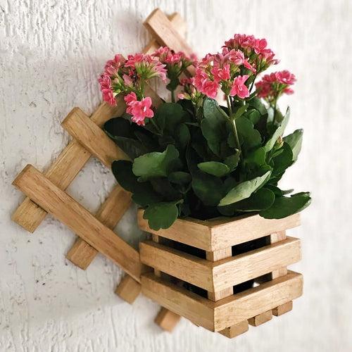 Wall Mounted Grid Planter - Diamond Single