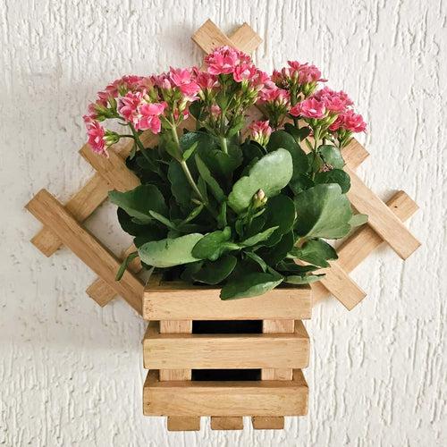 Wall Mounted Grid Planter - Diamond Single