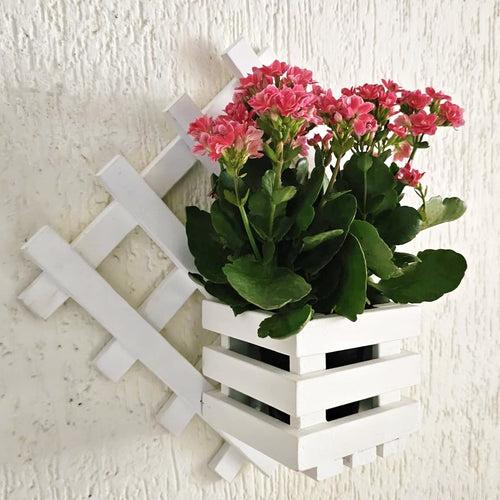 Wall Mounted Grid Planter - Diamond Single