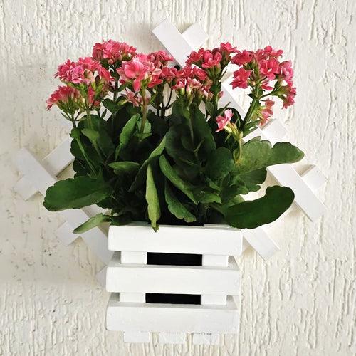 Wall Mounted Grid Planter - Diamond Single