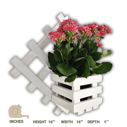 Wall Mounted Grid Planter - Diamond Single