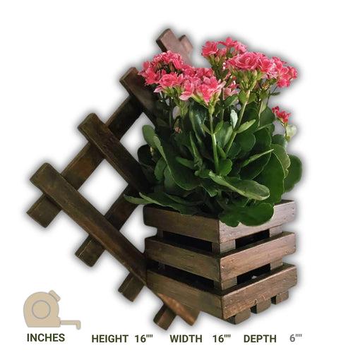 Wall Mounted Grid Planter - Diamond Single