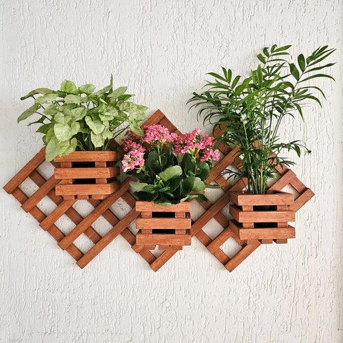 Wall Mounted Grid Planter - 3 Square