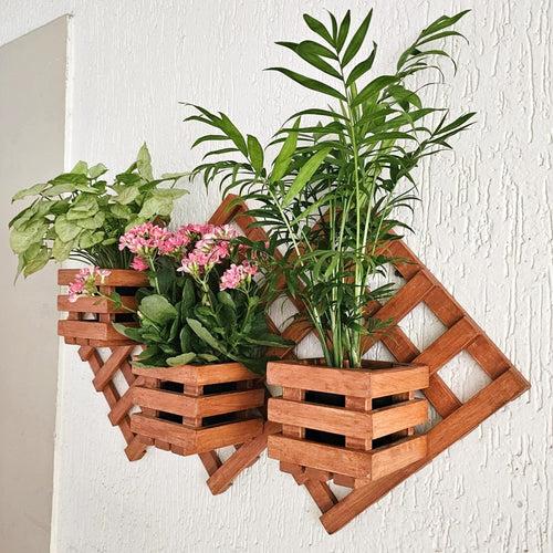 Wall Mounted Grid Planter - 3 Square