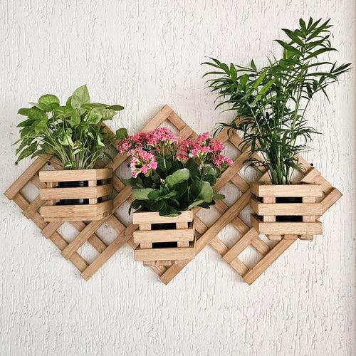 Wall Mounted Grid Planter - 3 Square