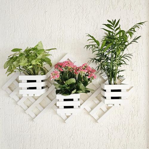 Wall Mounted Grid Planter - 3 Square