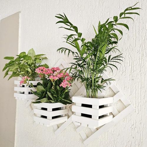 Wall Mounted Grid Planter - 3 Square