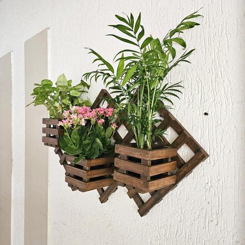 Wall Mounted Grid Planter - 3 Square