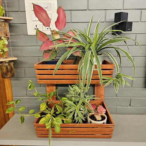 Planter Basket 2 Tier