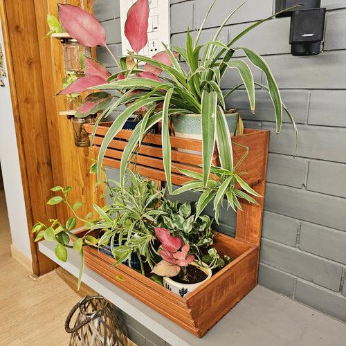 Planter Basket 2 Tier