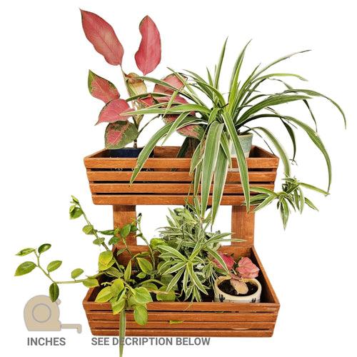 Planter Basket 2 Tier