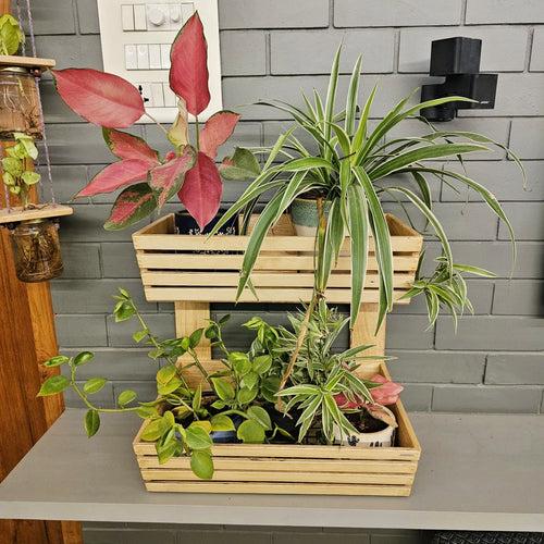 Planter Basket 2 Tier