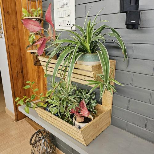 Planter Basket 2 Tier