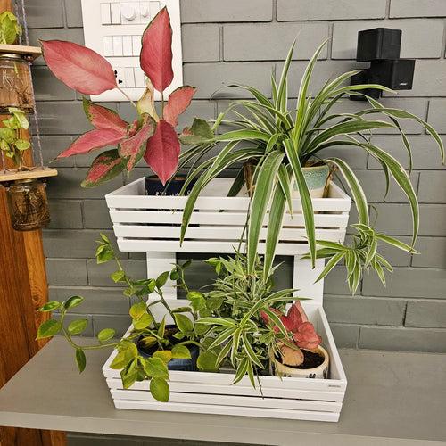 Planter Basket 2 Tier