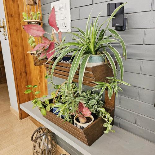 Planter Basket 2 Tier