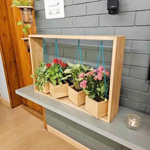 Planter Table Top (4 Hanging)