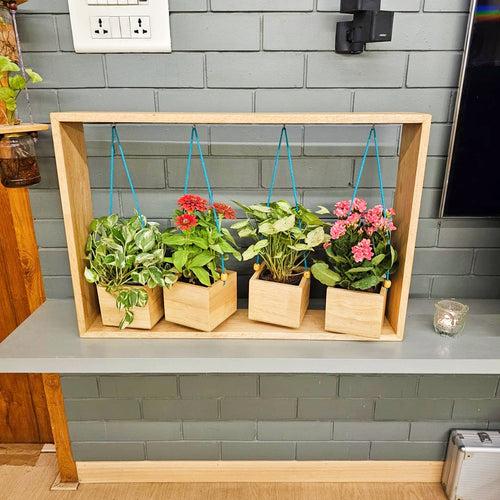 Planter Table Top (4 Hanging)