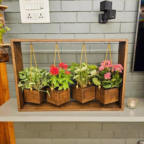 Planter Table Top (4 Hanging)