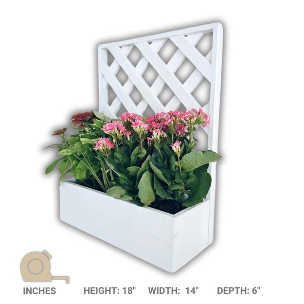 Wall / Table Top Grid Planter - Single Square