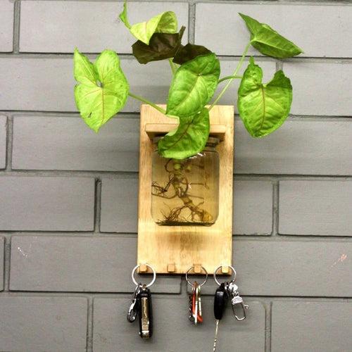 Wall Key Holder Jar Planter