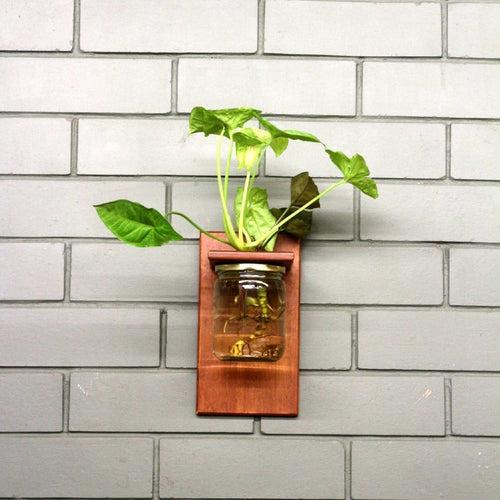 Wall Mounted Planter-Single Jar