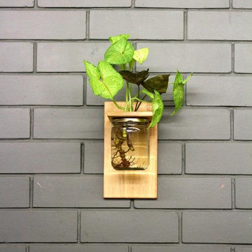 Wall Mounted Planter-Single Jar