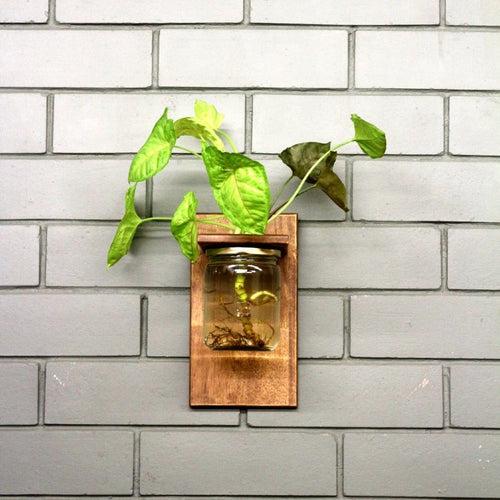 Wall Mounted Planter-Single Jar