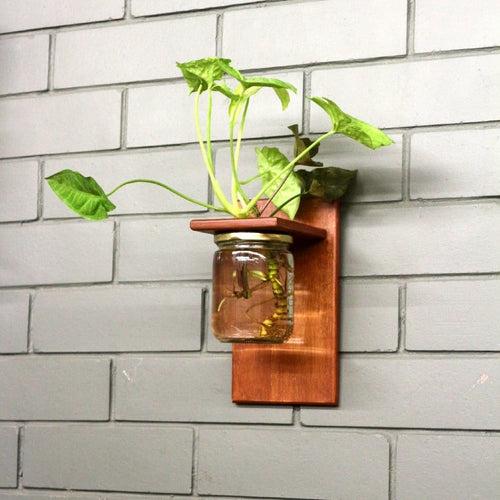 Wall Mounted Planter-Single Jar